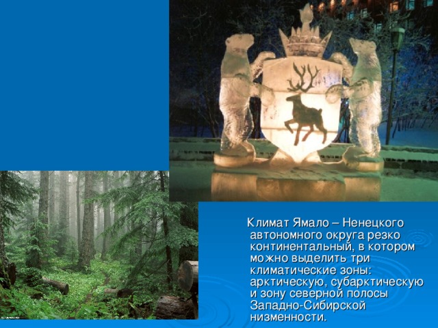 Климат янао презентация
