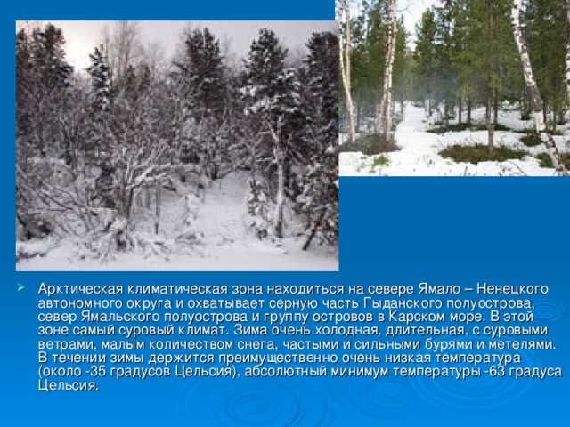 Климат янао презентация