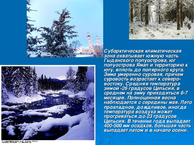 Особенности субарктического климата. Ямал средние температуры. Субарктическая зона. Ямал средняя температура зима. Зима в умеренном климате суровая.