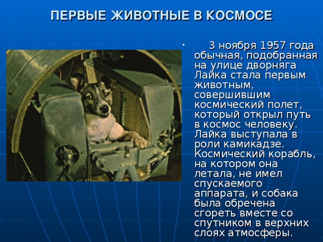 Полет животных в космос презентация