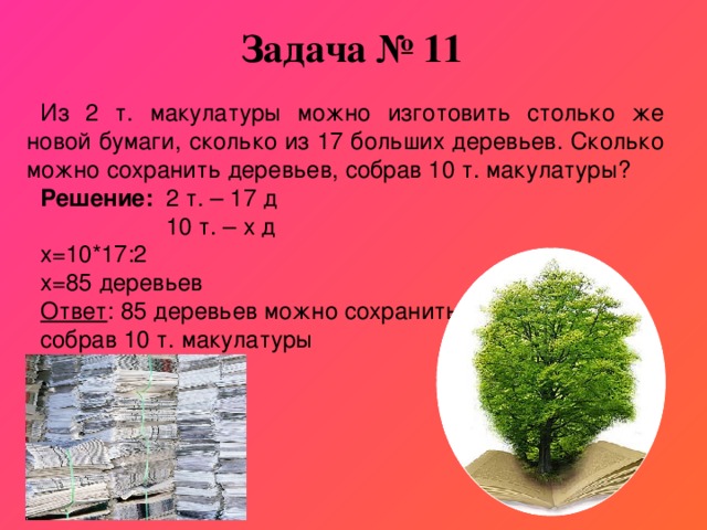 С первого дерева собрали. Деревья для изготовления бумаги. Сколько бумаги из 1 дерева. Сколько деревьев. Одно дерево сколько бумаги.