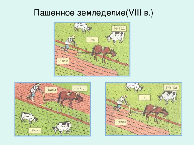 Что такое переложное земледелие