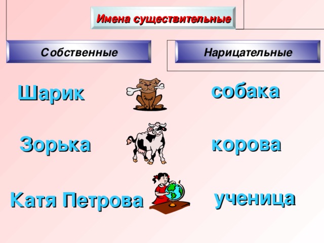 Проект по русскому языку имя существительное