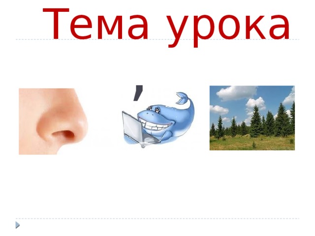 Тема урока , 