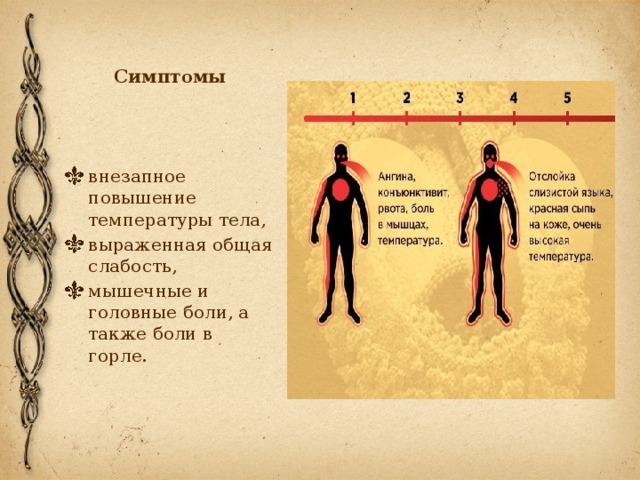 Эбола вирус презентация