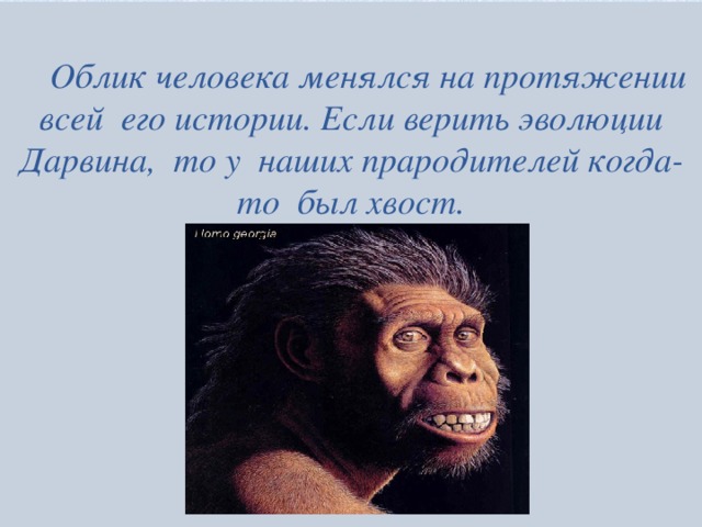  Облик человека менялся на протяжении всей его истории. Если верить эволюции Дарвина, то у наших прародителей когда-то был хвост.        