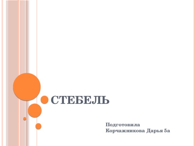 Стебель Подготовила Корчажникова Дарья 5а 