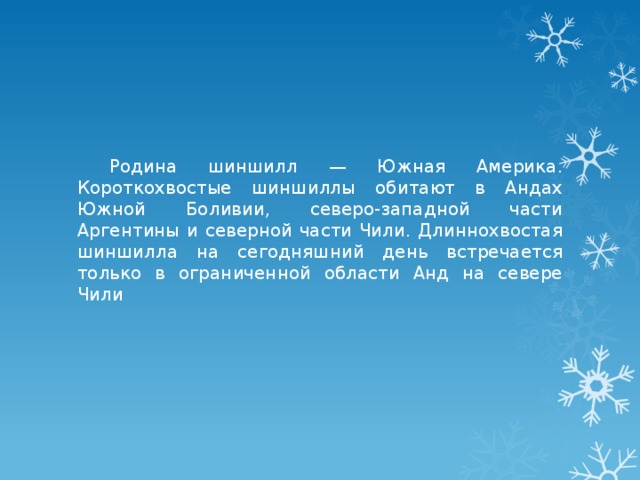  Родина шиншилл — Южная Америка. Короткохвостые шиншиллы обитают в Андах Южной Боливии, северо-западной части Аргентины и северной части Чили. Длиннохвостая шиншилла на сегодняшний день встречается только в ограниченной области Анд на севере Чили 