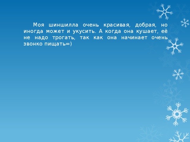  Моя шиншилла очень красивая, добрая, но иногда может и укусить. А когда она кушает, её не надо трогать, так как она начинает очень звонко пищать=) 