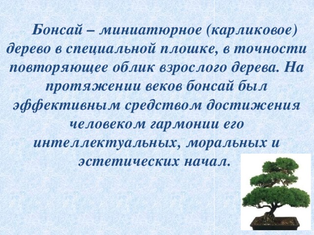 Бонсай – миниатюрное (карликовое) дерево в специальной плошке, в точности повторяющее облик взрослого дерева. На протяжении веков бонсай был эффективным средством достижения человеком гармонии его интеллектуальных, моральных и эстетических начал.  