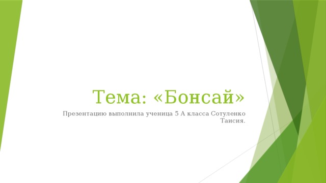 Тема: «Бонсай» Презентацию выполнила ученица 5 А класса Сотуленко Таисия. 