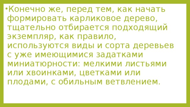 Конечно же, перед тем, как начать формировать карликовое дерево, тщательно отбирается подходящий экземпляр, как правило, используются виды и сорта деревьев с уже имеющимися задатками миниатюрности: мелкими листьями или хвоинками, цветками или плодами, с обильным ветвлением. 