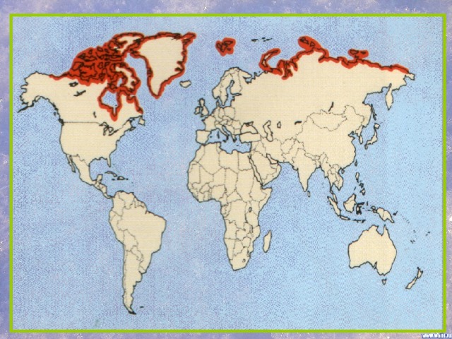 Карта распространения медведей