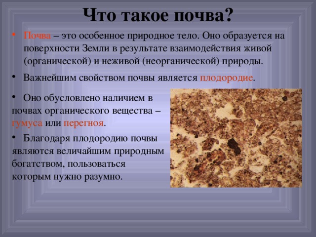 Что такое почва? Почва – это особенное природное тело. Оно образуется на поверхности Земли в результате взаимодействия живой (органической) и неживой (неорганической) природы.  Важнейшим свойством почвы является плодородие .  Оно обусловлено наличием в почвах органического вещества – гумуса или перегноя .  Благодаря плодородию почвы являются величайшим природным богатством, пользоваться которым нужно разумно. 