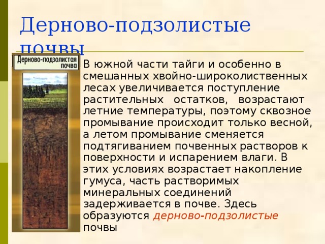 Дерново-подзолистые почвы В южной части тайги и особенно в смешанных хвойно-широколиственных лесах увеличивается поступление растительных остатков, возрастают летние температуры, поэтому сквозное промывание происходит только весной, а летом промывание сменяется подтягиванием почвенных растворов к поверхности и испарением влаги. В этих условиях возрастает накопление гумуса, часть растворимых минеральных соединений задерживается в почве. Здесь образуются дерново-подзолистые почвы 