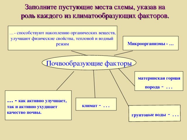 Заполните пустующие места схемы, указав на роль каждого из климатообразующих факторов.  грунтовые воды - … … - способствуют накоплению органических веществ, улучшают физические свойства, тепловой и водный режим Микроорганизмы - … Почвообразующие факторы  материнская горная порода - … … - как активно улучшает, так и активно ухудшает качество почвы. климат  - … 
