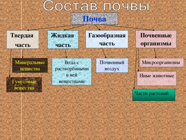 Почва Газообразная часть Твердая часть Почвенные организмы Жидкая часть Микроорганизмы Почвенный воздух Вода с растворёнными в ней веществами Минеральные вещества Иные животные Гумусовые вещества Части растений 