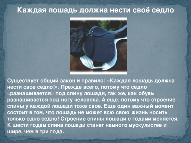 Каждая лошадь должна нести своё седло Существует общий закон и правило: «Каждая лошадь должна нести свое седло!». Прежде всего, потому что седло «разнашивается» под спину лошади, так же, как обувь разнашивается под ногу человека. А еще, потому что строение спины у каждой лошади тоже свое. Еще один важный момент состоит в том, что лошадь не может всю свою жизнь носить только одно седло! Строение спины лошади с годами меняется. К шести годам спина лошади станет намного мускулистее и шире, чем в три года.  