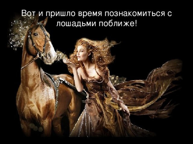 Вот и пришло время познакомиться с лошадьми поближе! 