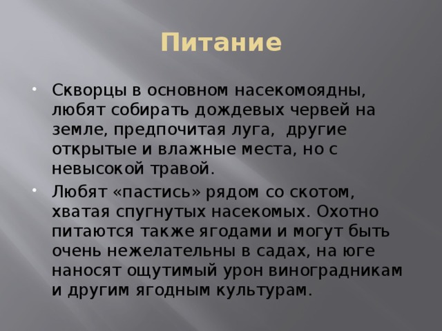 Питание Скворцы в основном насекомоядны, любят собирать дождевых червей на земле, предпочитая луга, другие открытые и влажные места, но с невысокой травой. Любят «пастись» рядом со скотом, хватая спугнутых насекомых. Охотно питаются также ягодами и могут быть очень нежелательны в садах, на юге наносят ощутимый урон виноградникам и другим ягодным культурам. 