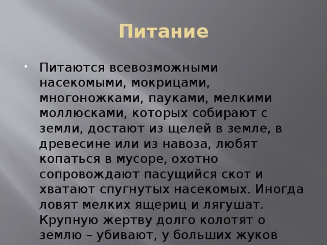 Питание Питаются всевозможными насекомыми, мокрицами, многоножками, пауками, мелкими моллюсками, которых собирают с земли, достают из щелей в земле, в древесине или из навоза, любят копаться в мусоре, охотно сопровождают пасущийся скот и хватают спугнутых насекомых. Иногда ловят мелких ящериц и лягушат. Крупную жертву долго колотят о землю – убивают, у больших жуков обрывают жесткие надкрылья и ноги. 