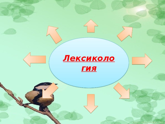 Лексикология 