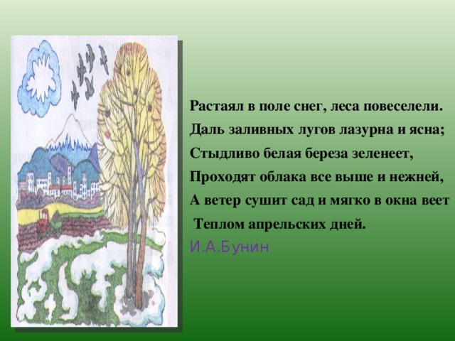 Ветер сушит. Растаял в поле снег леса повеселели. Растаял в поле снег леса повеселели даль заливных лугов. Растаял снег леса повеселели Бунин. Бунин растаял в поле снег.