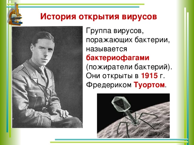 История открытия вирусов Группа вирусов, поражающих бактерии, называется бактериофагами (пожиратели бактерий).  Они открыты в 1915 г. Фредериком Туортом . 
