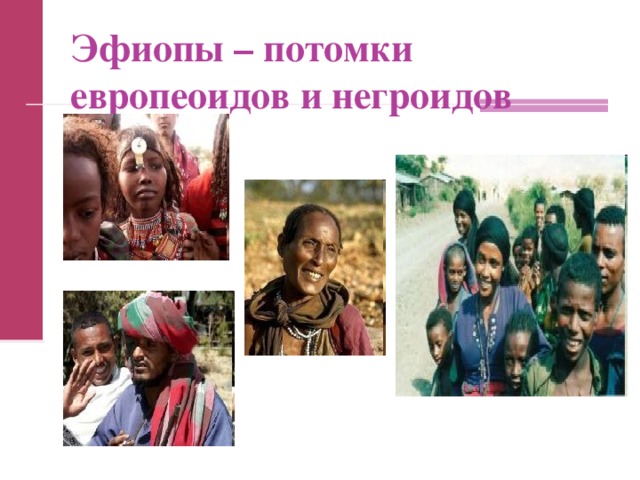 Эфиопы – потомки европеоидов и негроидов  