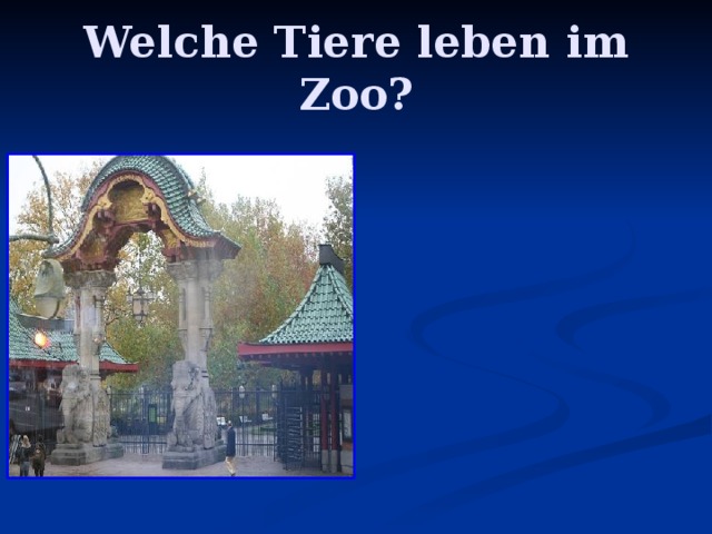 Welche Tiere leben im Zoo? 