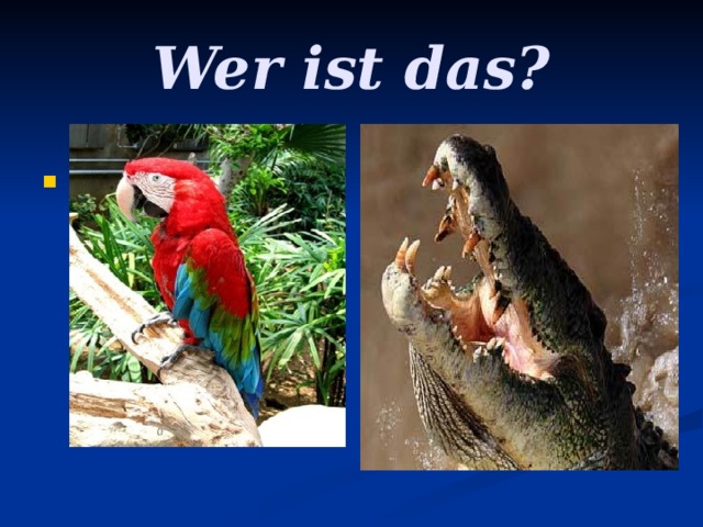 Wer ist das?  . 