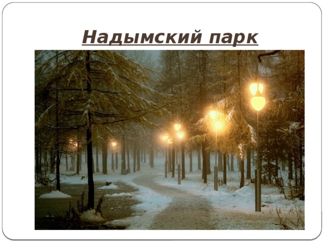 Надымский парк 