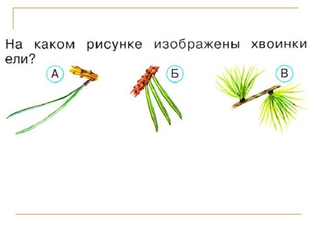 Ели как проверить и