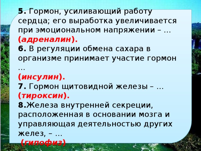  8. 5. гормон, усиливающий работу сердца; его выработка увеличивается при эмоциональном напряжении – . ( адреналин ). 6. в регуляции обмена сахара в организме принимает участие гормон … ( инсулин ). 7. гормон щитовидной железы – . ( тироксин ). 8. железа внутренней секреции, расположенная в основании мозга и управляющая деятельностью других желез, – . ( гипофиз ) 