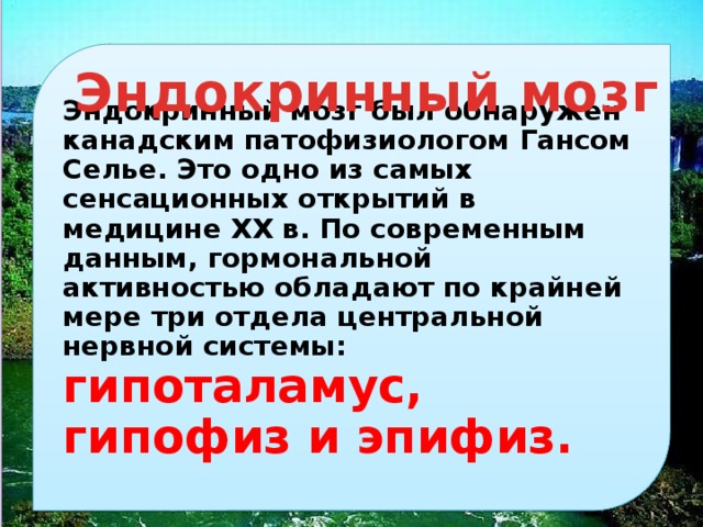 эндокринный мозг был обнаружен канадским патофизиологом гансом селье. это одно из самых сенсационных открытий в медицине xx в. по современным данным, гормональной активностью обладают по крайней мере три отдела центральной нервной системы: гипоталамус, гипофиз и эпифиз. эндокринный мозг 