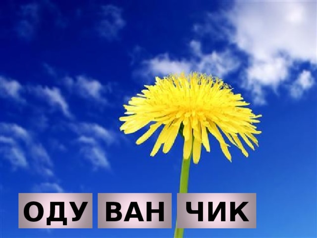 ОДУ ВАН ЧИК 