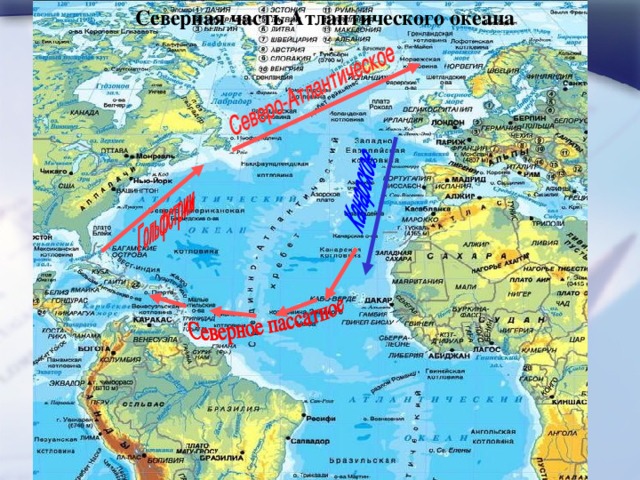 Северная часть Атлантического океана 