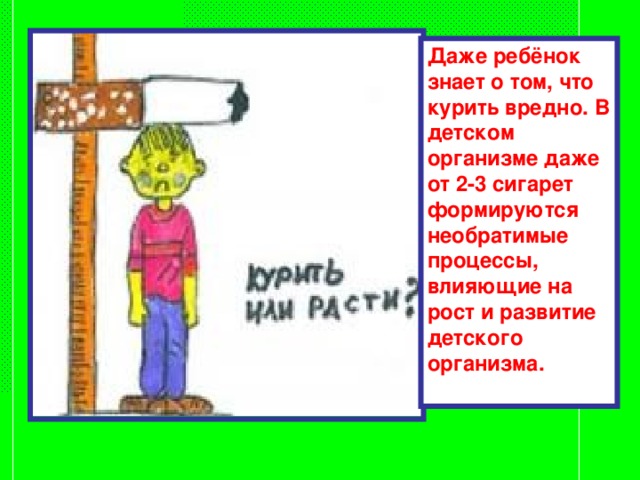 Даже ребёнок знает о том, что курить вредно. В детском организме даже от 2-3 сигарет формируются необратимые процессы, влияющие на рост и развитие детского организма. 