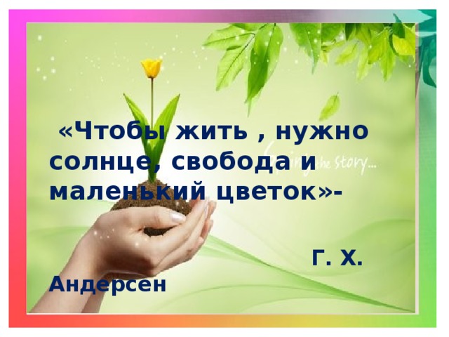  «Чтобы жить , нужно солнце, свобода и маленький цветок»-  Г. Х. Андерсен 