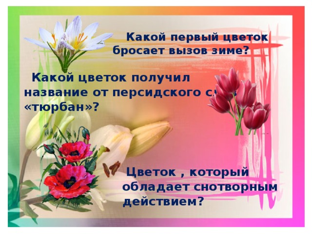  Какой первый цветок бросает вызов зиме?    Какой цветок получил название от персидского слова «тюрбан»?   Цветок , который обладает снотворным действием? 