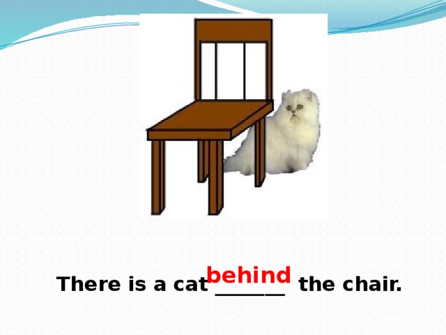 Never mind the chair. Cat behind the Chair. The Cat is the Chair. The Cat is behind. Cat is in the Chair.