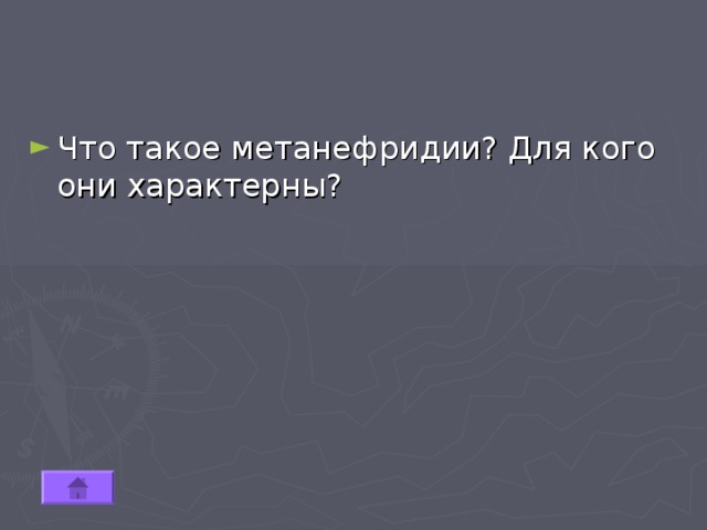 Что такое метанефридии? Для кого они характерны? 