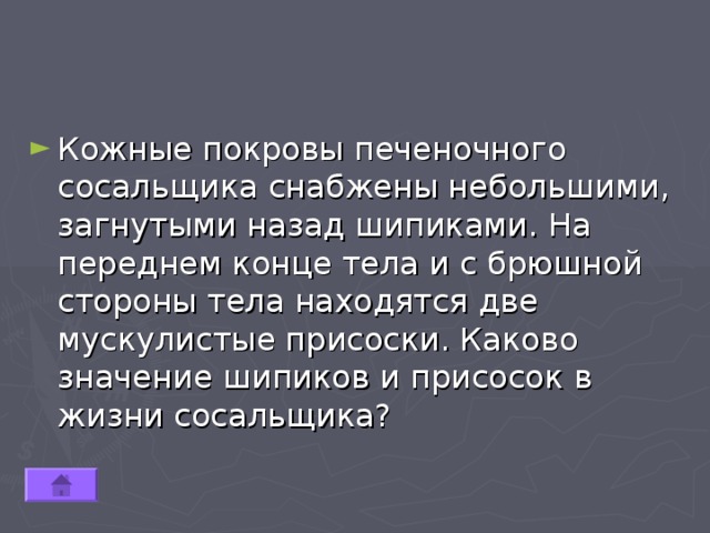 Кожные покровы печеночного сосальщика снабжены небольшими, загнутыми назад шипиками. На переднем конце тела и с брюшной стороны тела находятся две мускулистые присоски. Каково значение шипиков и присосок в жизни сосальщика? 