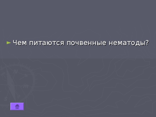 Чем питаются почвенные нематоды? 
