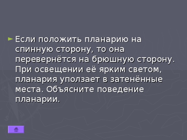 Если положить планарию на спинную сторону, то она перевернётся на брюшную сторону. При освещении её ярким светом, планария уползает в затенённые места. Объясните поведение планарии. 