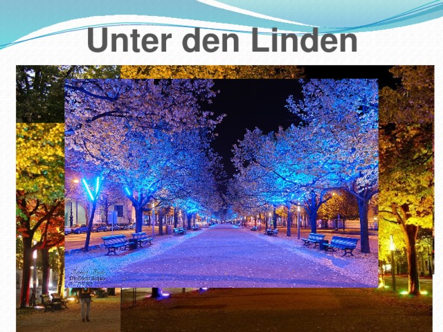 Unter den Linden 