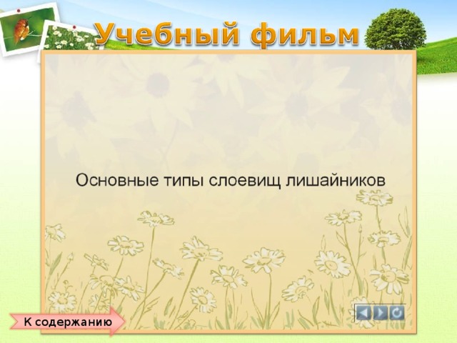 К содержанию 