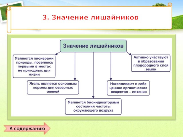 К содержанию 