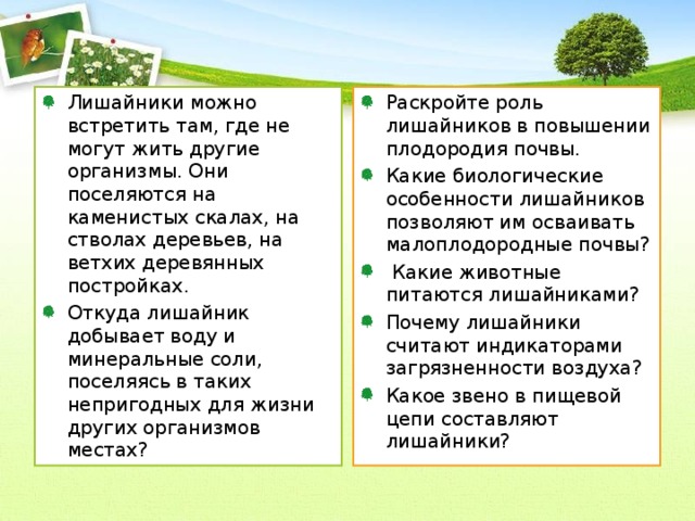 Лишайники можно встретить там, где не могут жить другие организмы. Они поселяются на каменистых скалах, на стволах деревьев, на ветхих деревянных постройках. Откуда лишайник добывает воду и минеральные соли, поселяясь в таких непригодных для жизни других организмов местах? Раскройте роль лишайников в повышении плодородия почвы. Какие биологические особенности лишайников позволяют им осваивать малоплодородные почвы?  Какие животные питаются лишайниками? Почему лишайники считают индикаторами загрязненности воздуха? Какое звено в пищевой цепи составляют лишайники? 