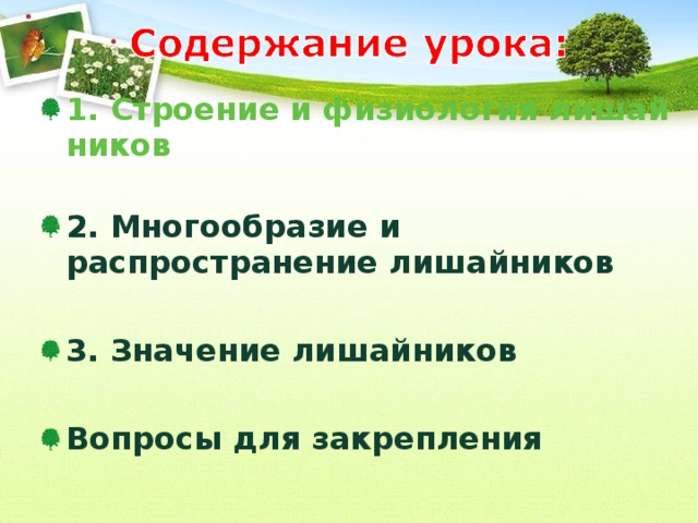 1. Строение и физиология лишайников  2. Многообразие и распространение лишайников  3. Значение лишайников  Вопросы для закрепления 